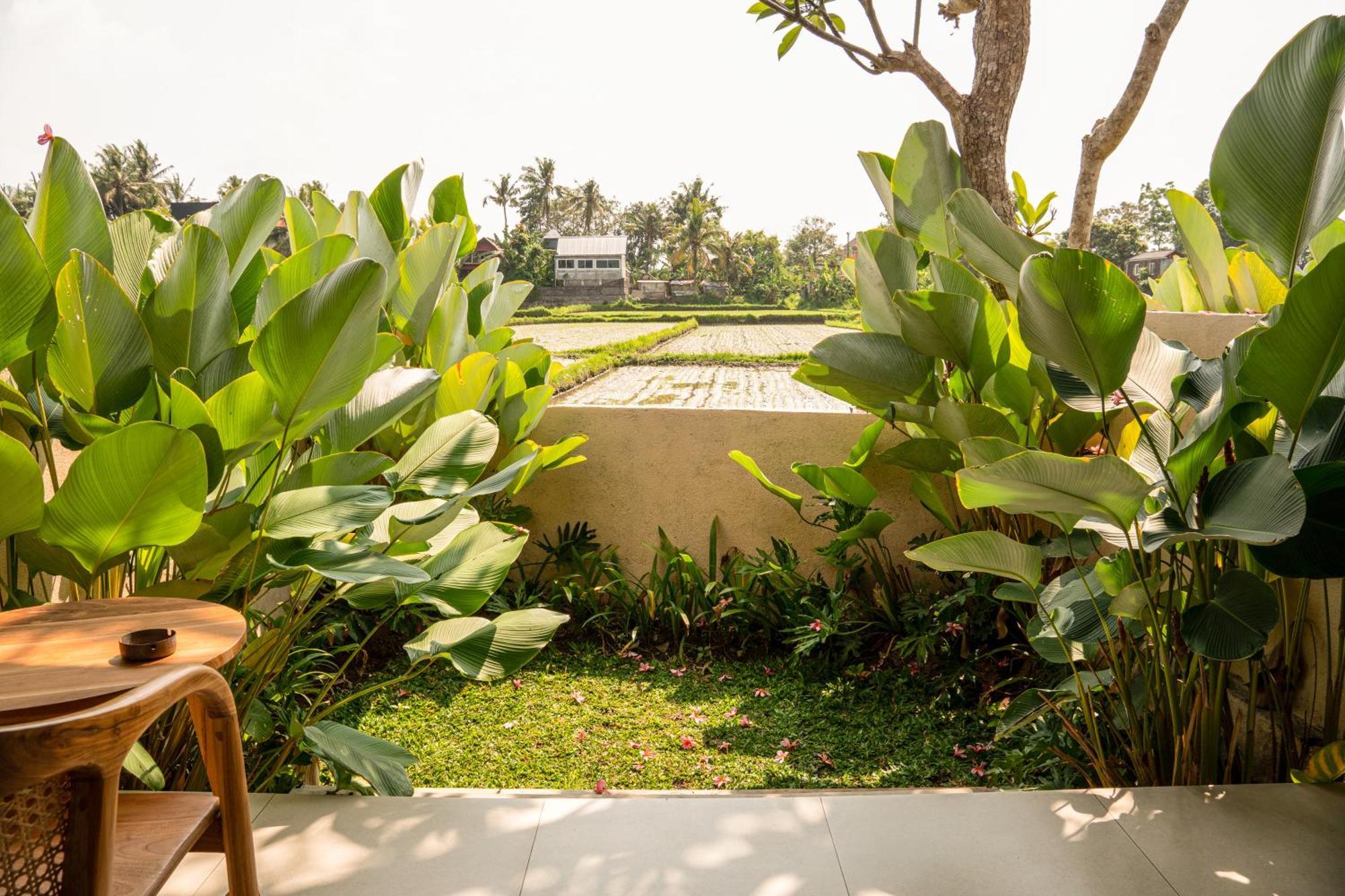 Tut Winten Villa Ubud Экстерьер фото